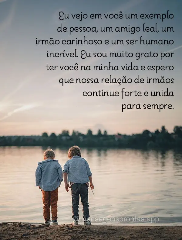 Eu vejo em você um exemplo de pessoa, um amigo leal, um irmão carinhoso e um ser humano incrível. Eu sou muito grato por ter você na minha vida e esp...