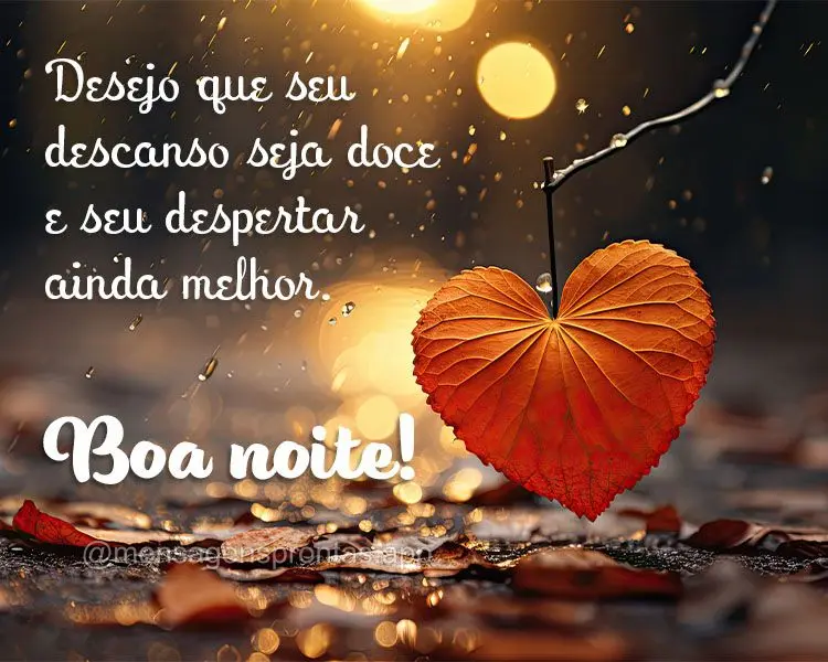 Desejo que seu descanso seja doce e seu despertar ainda melhor. Boa noite!