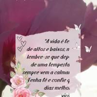 "A vida é feita de altos e baixos, mas lembre-se que depois de uma tempestade sempre vem a calmaria. Tenha fé e confie que dias melhores virão." Bom d...