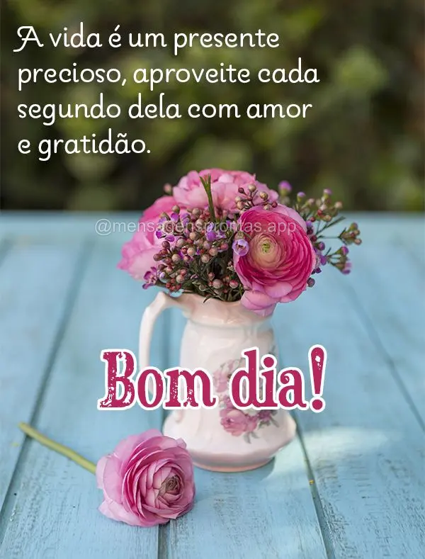 A vida é um presente precioso, aproveite cada segundo dela com amor e gratidão. Bom dia!