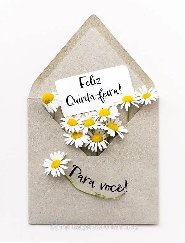 Feliz Quinta-feira! Para você!