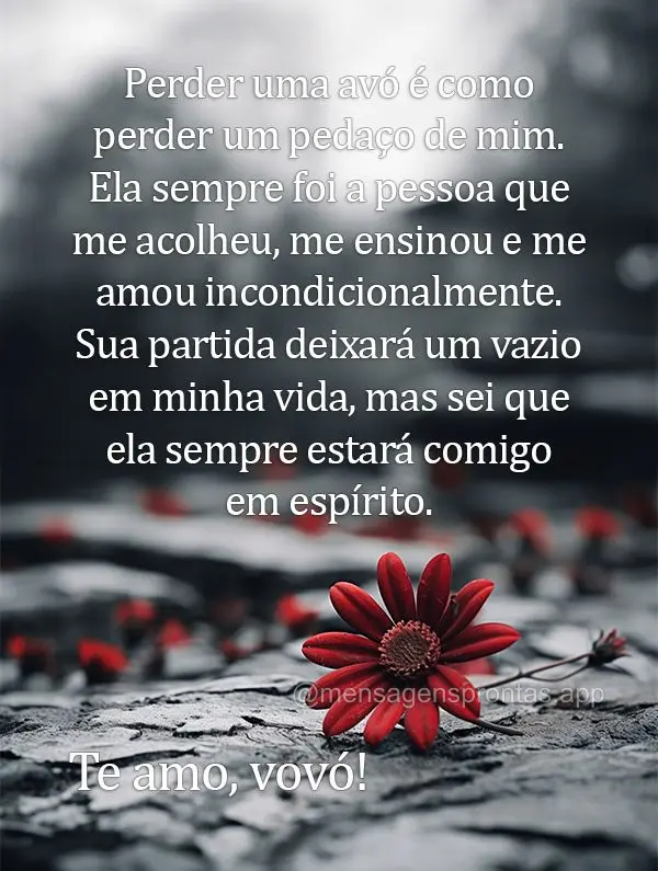 Perder uma avó é como perder um pedaço de mim. Ela sempre foi a pessoa que me acolheu, me ensinou e me amou incondicionalmente. Sua partida deixará u...