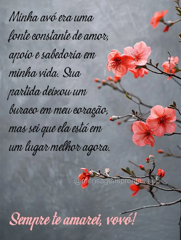 Minha avó era uma fonte constante de amor, apoio e sabedoria em minha vida. Sua partida deixou um buraco em meu coração, mas sei que ela está em um l...