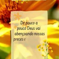 De pouco a pouco Deus vai abençoando nossa preces e tornando felicidade que o coração tanto almeja em rotina diária. Bom dia!