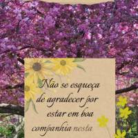 Não se esqueça de agradecer por estar em boa companhia nesta tarde agradável! Boa tarde!