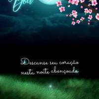 Descanse seu coração nesta noite abençoada para que possa acordar renovado e motivado para lutar pelos seus sonhos! Boa noite!