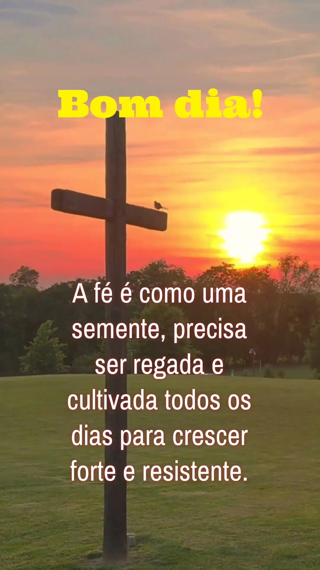 A fé é como uma semente, precisa ser regada e cultivada todos os dias para crescer forte e resistente.  Bom dia!