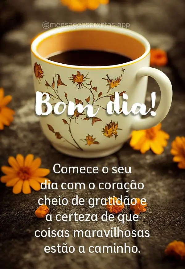 Comece o seu dia com o coração cheio de gratidão e a certeza de que coisas maravilhosas estão a caminho. Bom dia!