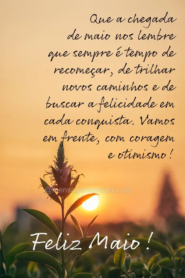 Que a chegada de maio nos lembre que sempre é tempo de recomeçar, de trilhar novos caminhos e de buscar a felicidade em cada conquista. Vamos em frente...