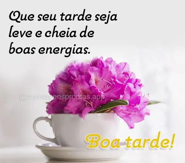 Que seu tarde seja leve e cheia de boas energias. Boa tarde!