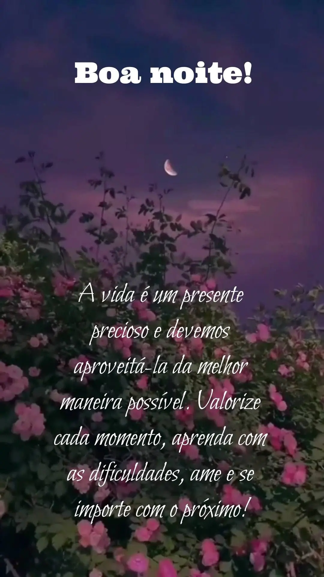 A vida é um presente precioso e devemos aproveitá-la da melhor maneira possível. Valorize cada momento, aprenda com as dificuldades, ame e se importe ...