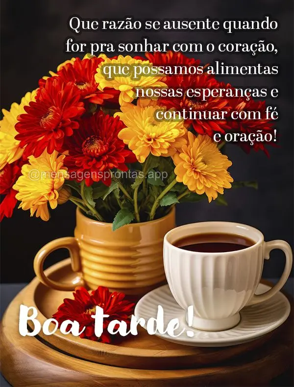 Que razão se ausente quando for pra sonhar com o coração, que possamos alimentas nossas esperanças e continuar com fé e oração! Boa tarde!
