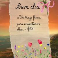 Lhe trago flores para encantar os olhos e afeto para adoçar o coração! Bom dia!