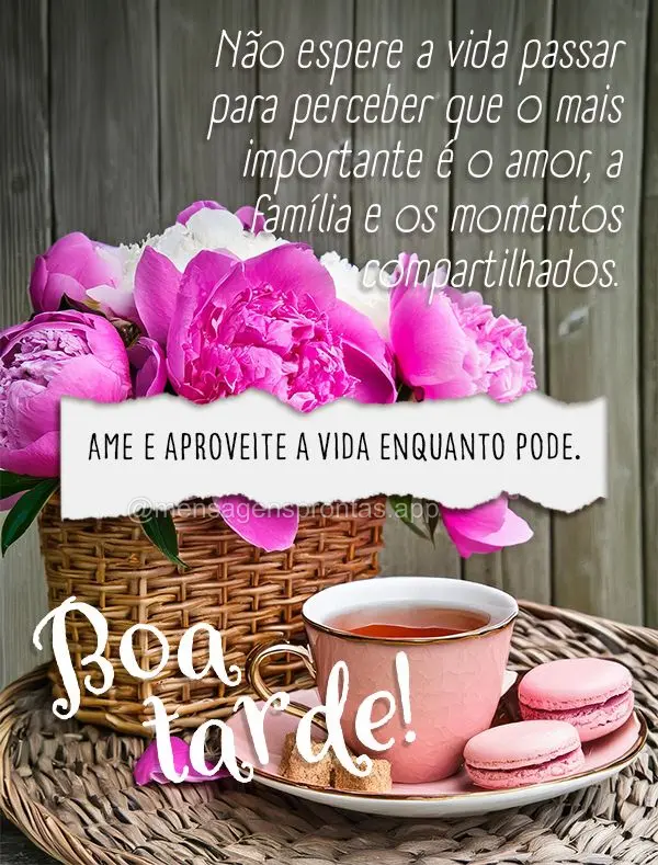 Não espere a vida passar para perceber que o mais importante é o amor, a família e os momentos compartilhados. Ame e aproveite a vida enquanto pode. B...