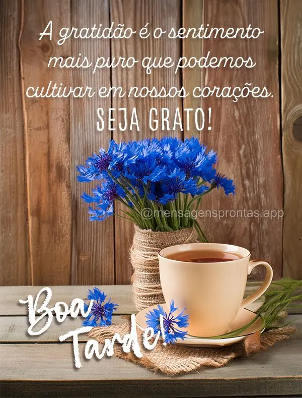 A gratidão é o sentimento mais puro que podemos cultivar em nossos corações. Seja grato! Boa tarde!