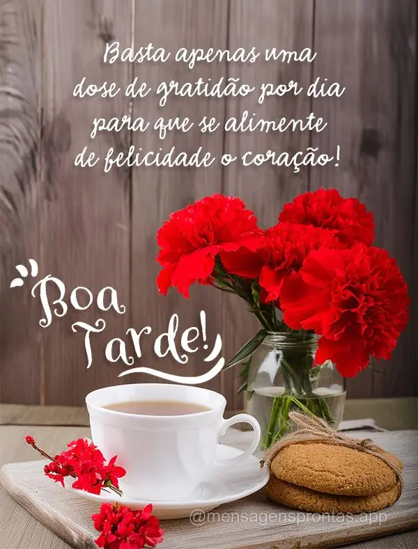 Basta apenas uma dose de gratidão por dia para que se alimente de felicidade o coração! Boa tarde!