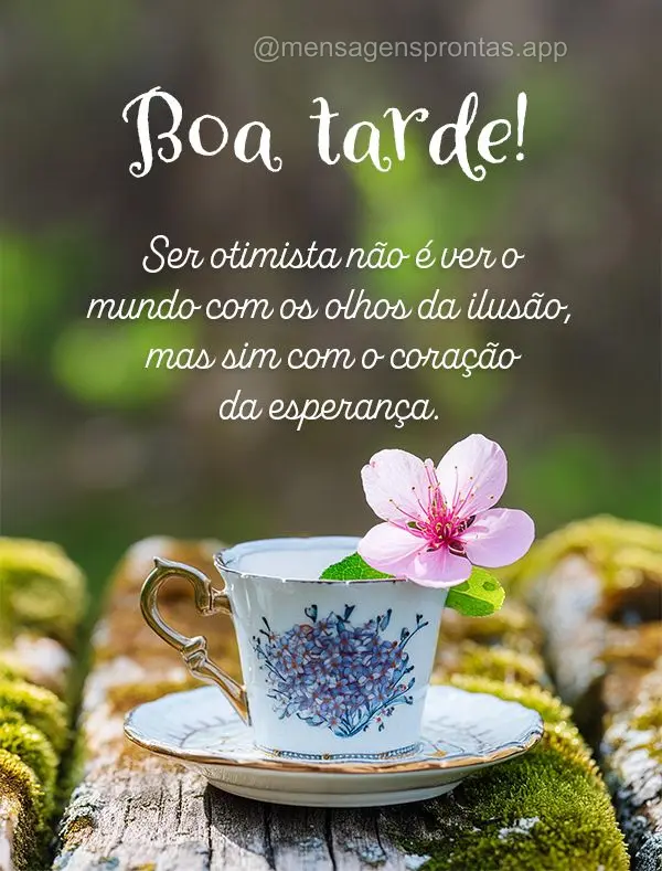 Ser otimista não é ver o mundo com os olhos da ilusão, mas sim com o coração da esperança. Boa tarde!