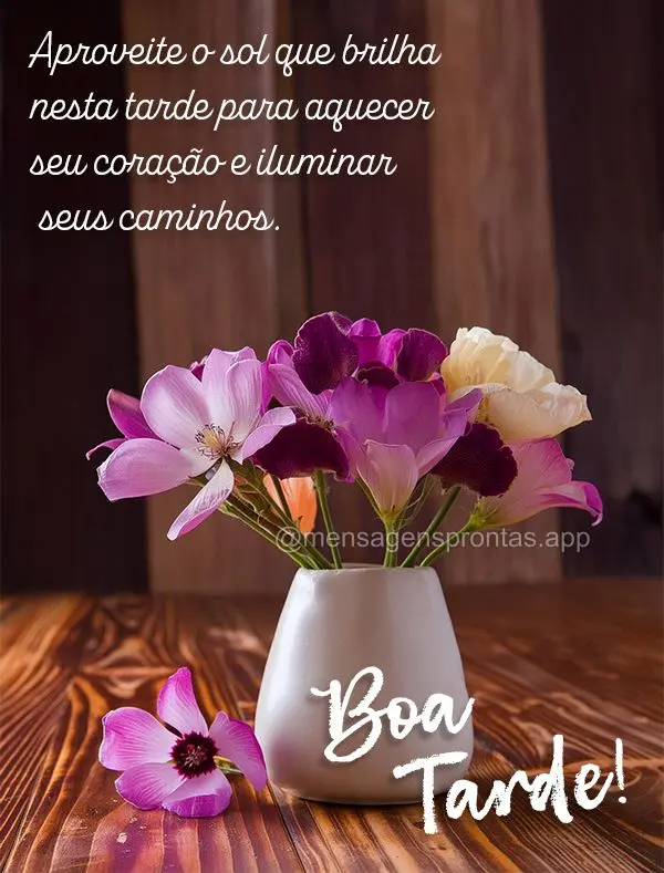 Aproveite o sol que brilha nesta tarde para aquecer seu coração e iluminar seus caminhos. Boa tarde!