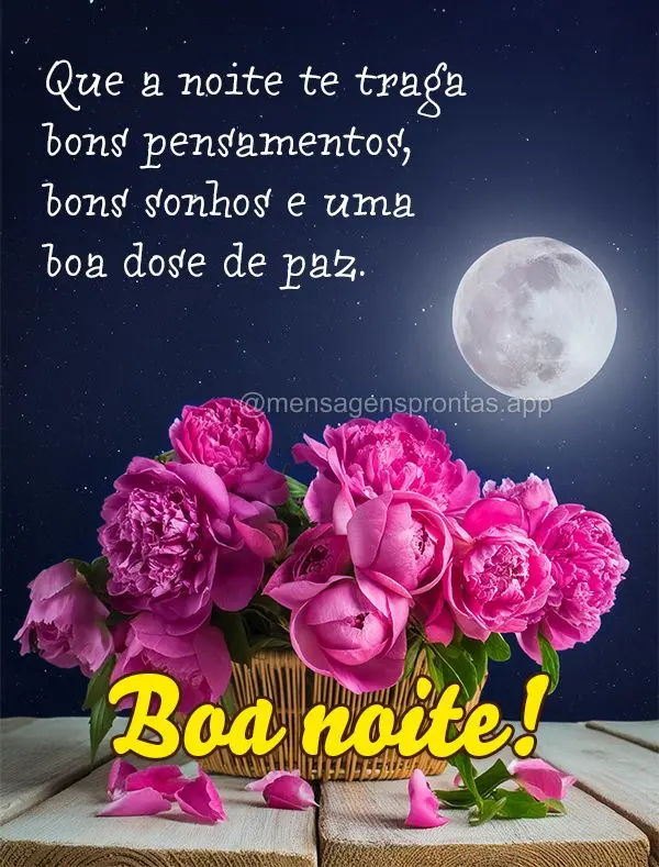 Que a noite te traga bons pensamentos, bons sonhos e uma boa dose de paz. Boa noite!