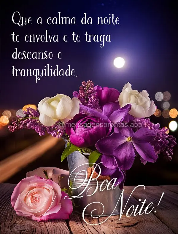 Que a calma da noite te envolva e te traga descanso e tranquilidade. Boa noite!