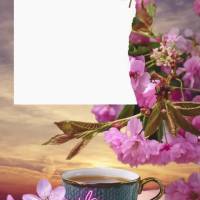 Não importa como foi o seu ontem, o que importa é o que você fará hoje. Aproveite cada momento para ser feliz, para amar e para ser amado. Que seu di...