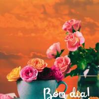 Que o seu dia seja abençoado e que a felicidade seja sua companheira de jornada. Lembre-se sempre de agradecer por tudo que tem e de valorizar as pequen...