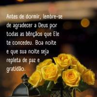 Antes de dormir, lembre-se de agradecer a Deus por todas as bênçãos que Ele te concedeu. Boa noite e que sua noite seja repleta de paz e gratidão. Te...