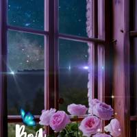 Não importa quão difícil tenha sido o seu dia, nunca se esqueça de agradecer por todas as bênçãos que recebeu. A gratidão é uma das melhores for...