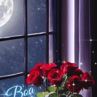 Que a noite traga paz e serenidade para o seu coração, e que você possa refletir sobre todas as bênçãos e conquistas que teve ao longo do dia. Boa ...