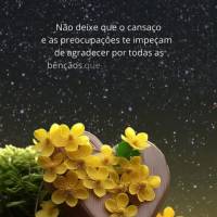 Não deixe que o cansaço e as preocupações te impeçam de agradecer por todas as bênçãos que recebeu hoje. Aproveite a noite para refletir sobre el...