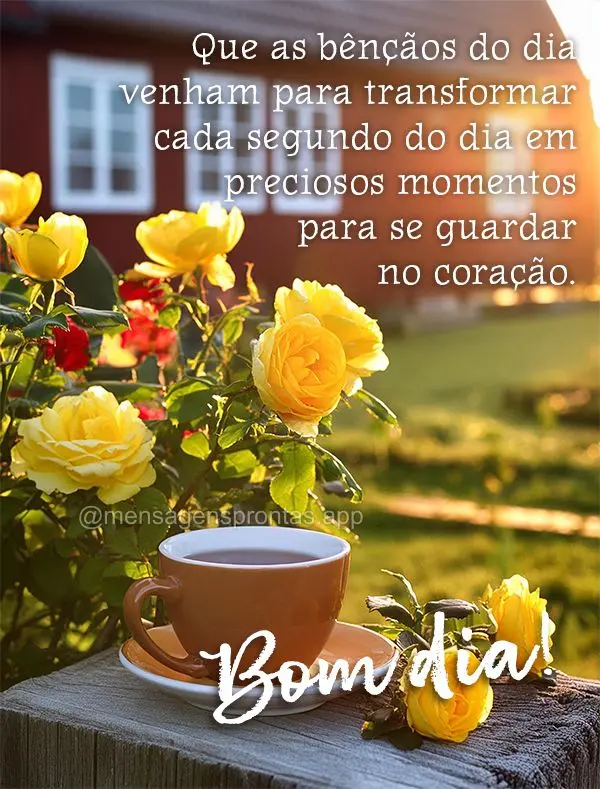 Que as bênçãos do dia venham para transformar cada segundo do dia em preciosos momentos para se guardar no coração.  Bom dia!