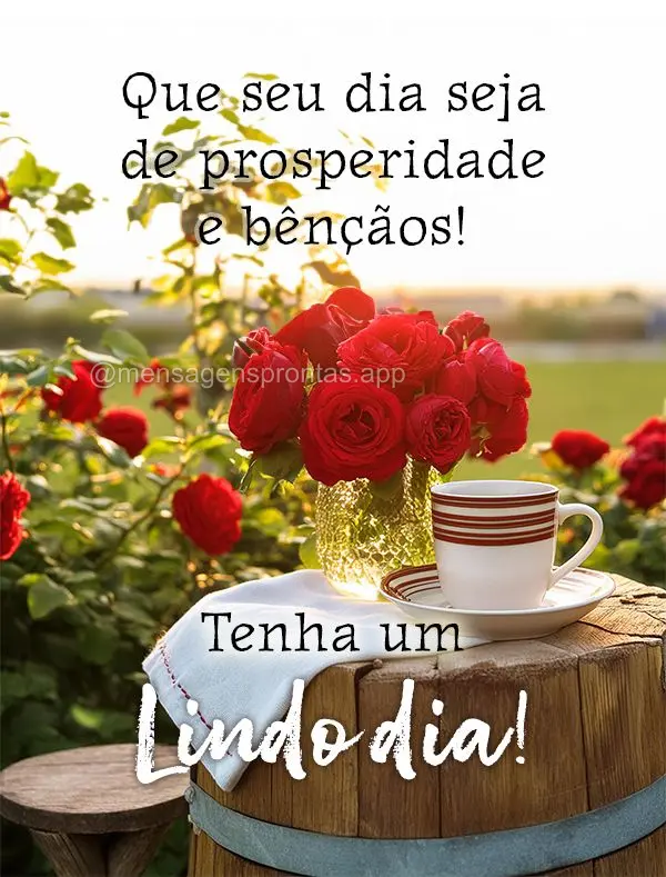 Que seu dia seja de prosperidade e bênçãos! Tenha um Lindo dia!