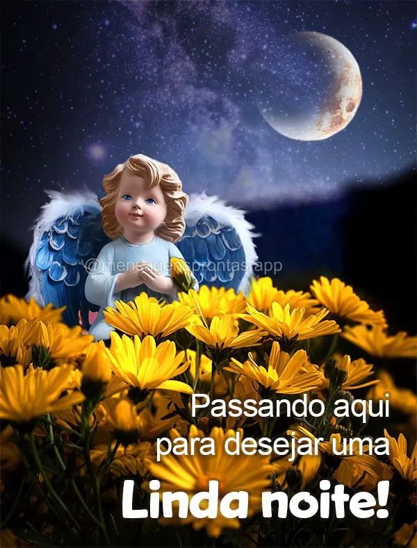 Passando aqui para desejar uma Linda noite!