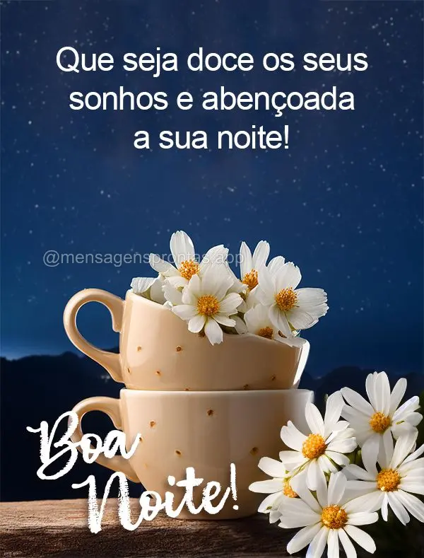 Que seja doce os seus sonhos e abençoada a sua noite! Boa noite!