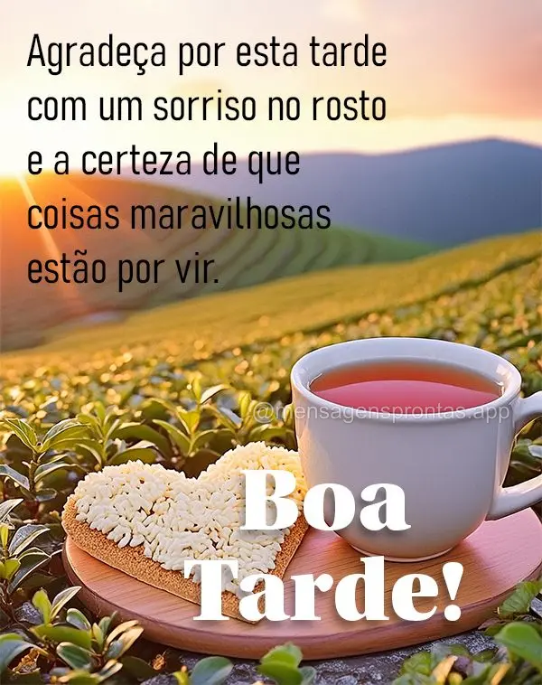 Agradeça por esta tarde com um sorriso no rosto e a certeza de que coisas maravilhosas estão por vir. Boa tarde!