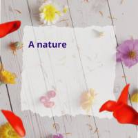 A natureza é sábia e as flores são suas mensageiras, nos ensinando sobre amor e renovação.