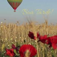 Que a tranquilidade do entardecer nos traga paz e serenidade para enfrentar os desafios da vida. Boa Tarde!