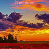 A tarde chega com sua calmaria, me convidando a apreciar o belo espetáculo do pôr do sol. Boa tarde!