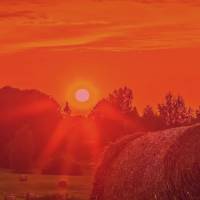 A tarde é o momento perfeito para refletir sobre nossos objetivos e planejar novas conquistas. Boa Tarde!