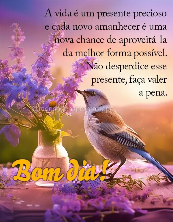 A vida é um presente precioso e cada novo amanhecer é uma nova chance de aproveitá-la da melhor forma possível. Não desperdice esse presente, faça ...