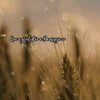 Que a gratidão a Deus seja compartilhada com todos, pois Ele é quem nos oferece o dom da vida e a oportunidade de evoluir.