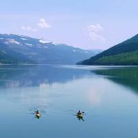 Que a gratidão a Deus seja uma luz que ilumina seu caminho, pois Ele é quem nos guia para o bem e nos protege do mal.