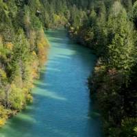 Que a tarde seja leve e cheia de sorrisos. 
Aproveite cada momento com gratidão.