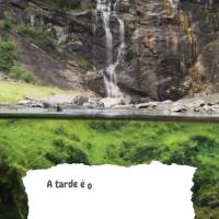 A tarde é o momento ideal para relaxar e recarregar as energias. Tenha uma boa tarde!