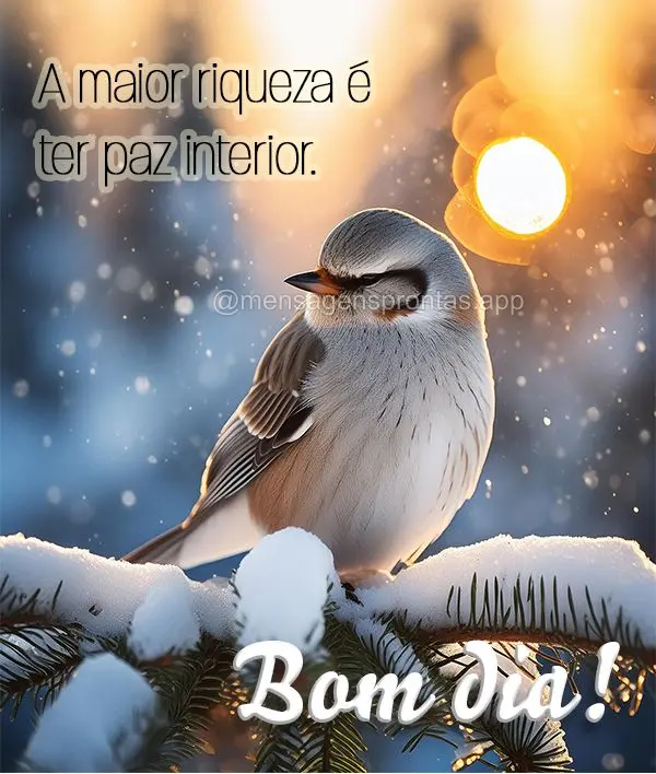A maior riqueza é ter paz interior. Bom dia!