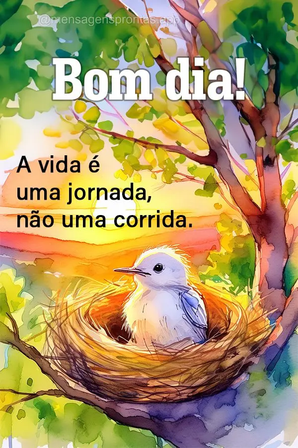 A vida é uma jornada, não uma corrida. Bom dia!