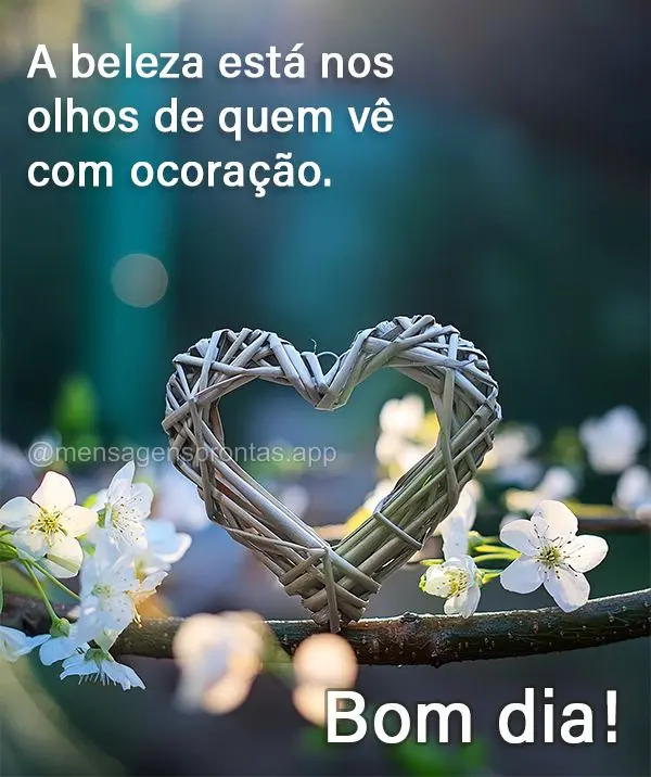 A beleza está nos olhos de quem vê com o coração. Bom dia!