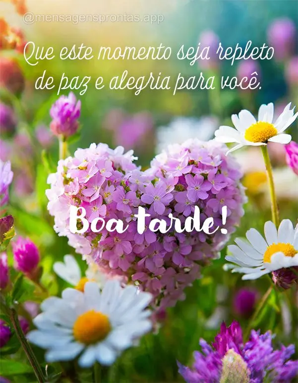 Que este momento seja repleto de paz e alegria para você. Boa tarde! 