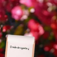 O mês de agosto é como um livro em branco, cabe a nós escrevermos uma história incrível nele.