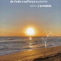 Que este novo mês seja repleto de bênçãos e realizações. Que possamos colher os frutos de todo o esforço e plantar sementes de amor e bondade por ...